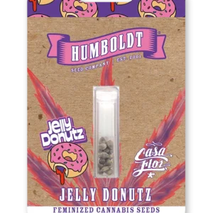 Jelly Donutz