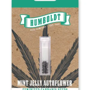 Mint Jelly Auto