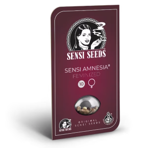 Sensi Amnesia