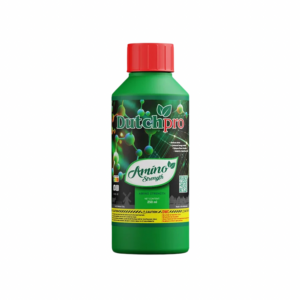 Dutchpro Amino Strength